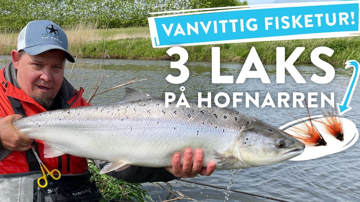 Torsdagsturen: Tre laks på én dag ved Storåen