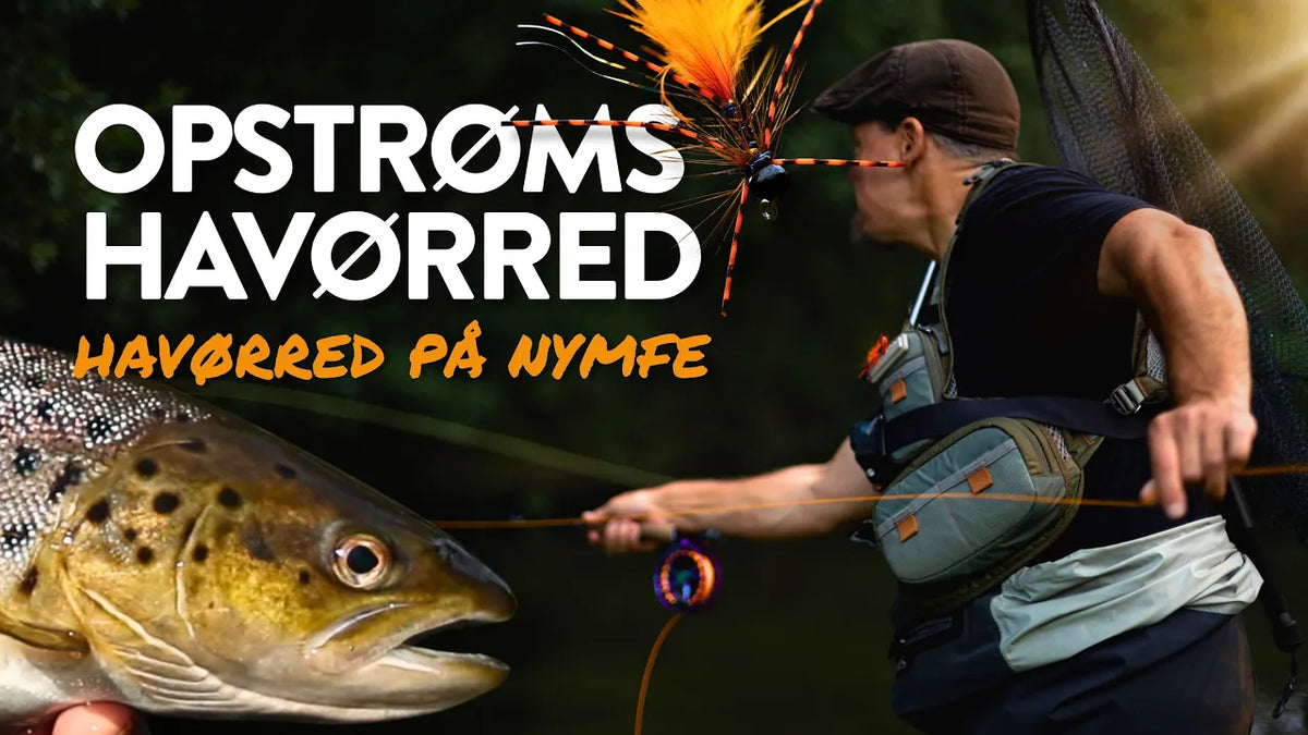 Opstrøms nymfe – Nordic Anglers guide til havørred på tunge nymfer