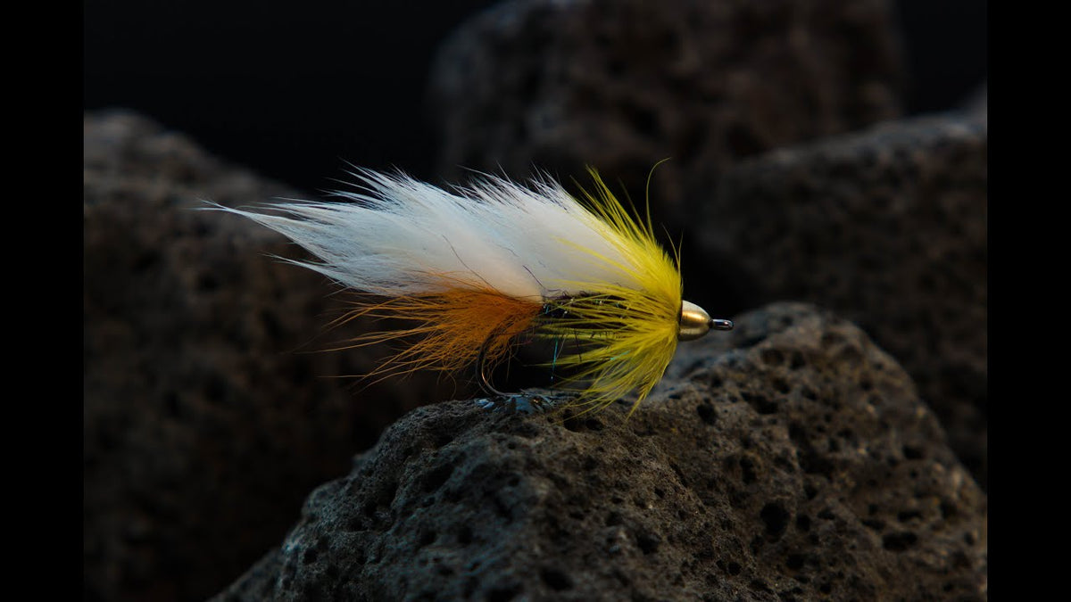 Fluebinding: Island Zonker
