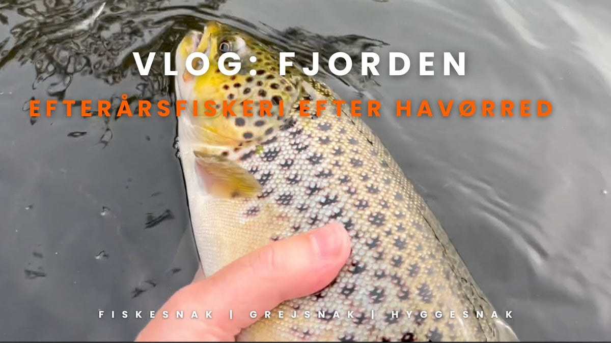 Torsdagsturen: Efterårstur ved fjorden