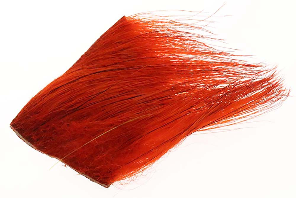 Boar bristle