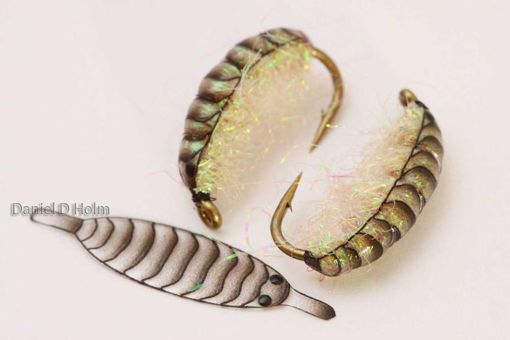 Pro Gammarus skjold - Brown