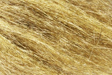 You added <b><u>Flashabou Dubbing - Gold</u></b> to basket.