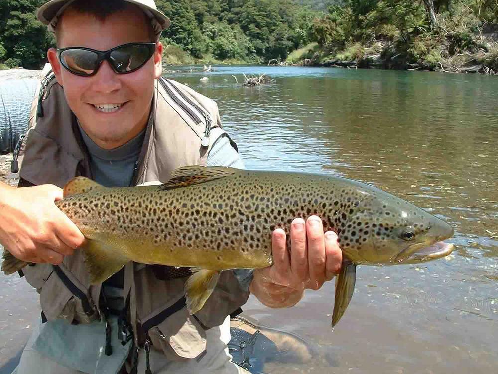 (Silver Grade) Whiting Hebert Miner Dryfly - Light Ginger