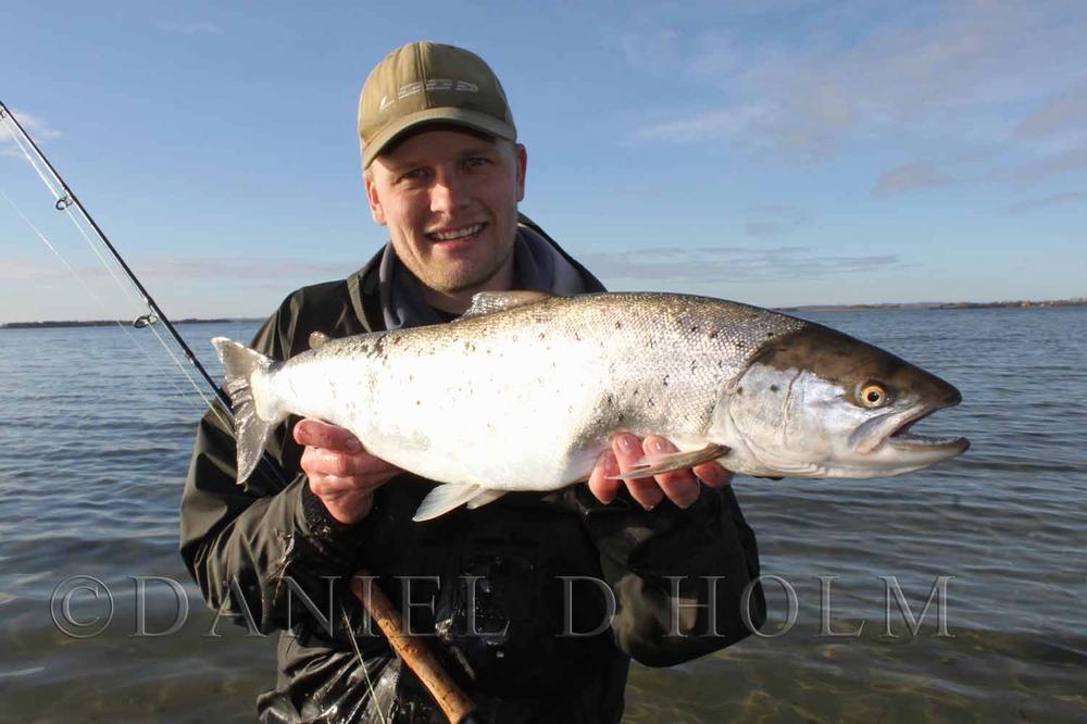Salmo supreme - Bright White