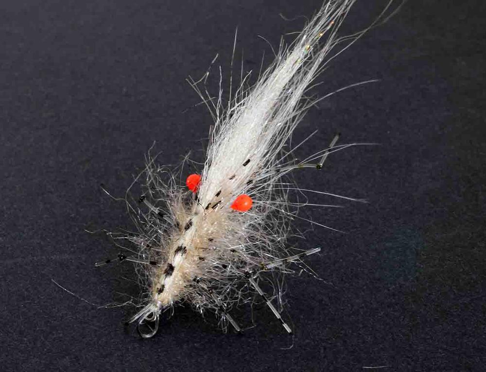Kern Leo shrimp 