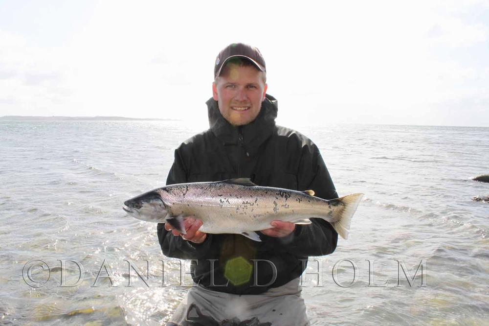 Bucktail Large  - Tan