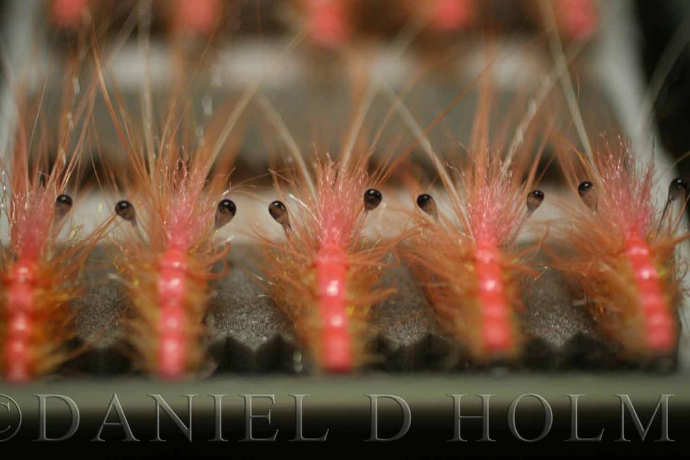 Whiting Coq de leon Cape - Badger Red