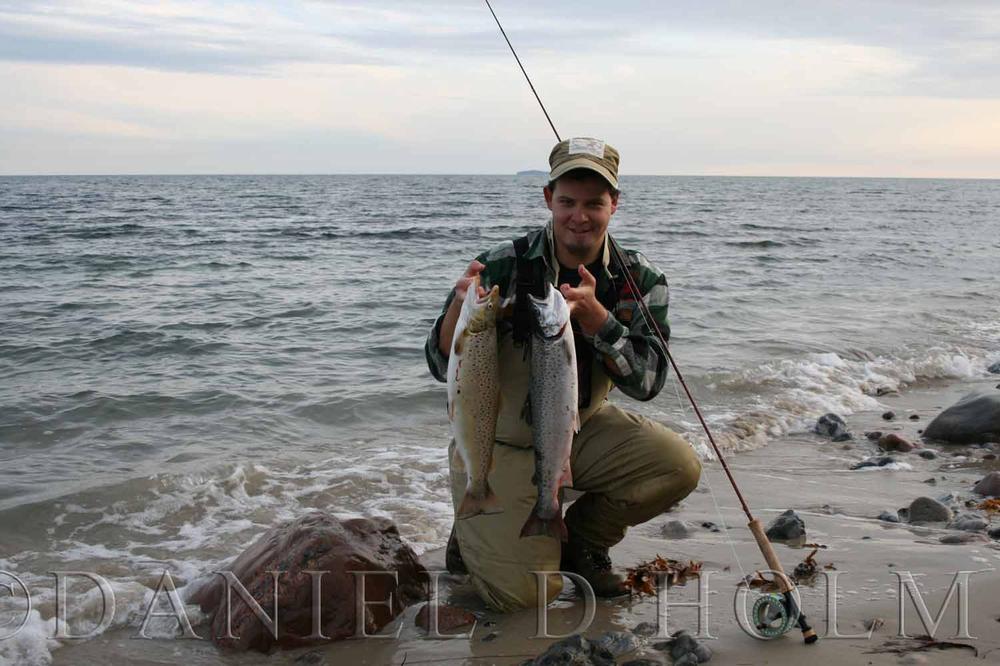 Whiting Coq de leon Cape - Badger Red