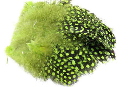 You added <b><u>Guinea Fowl - Chartreuse</u></b> to basket.