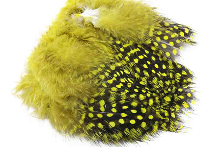 You added <b><u>Guinea Fowl - Yellow</u></b> to basket.