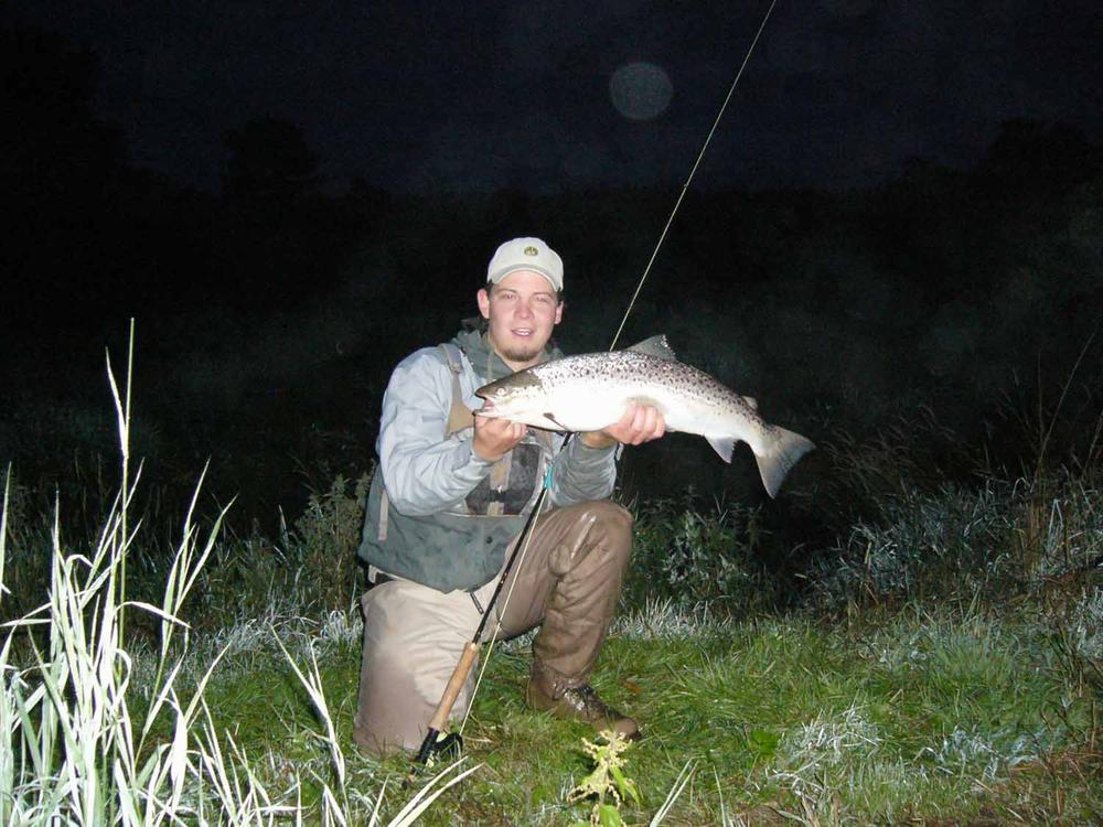 Arctic Goat - Fl. Red