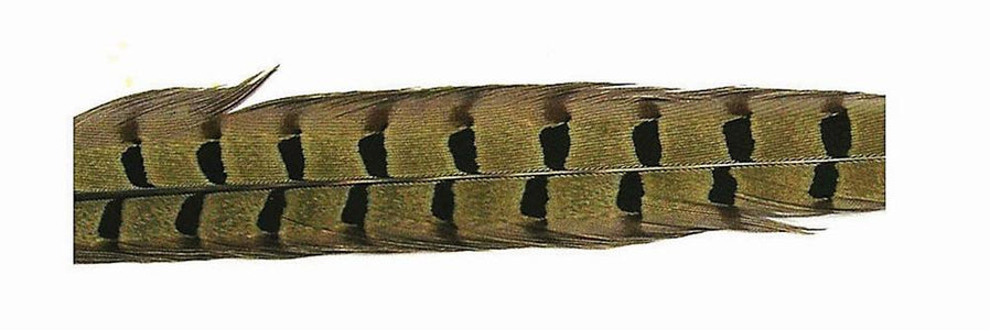 You added <b><u>Pheasant Tail Feather - Natural</u></b> to basket.