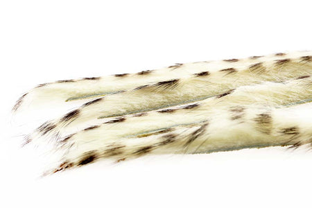 You added <b><u>3mm Rabbit Barred Zonkerstrip - Cream</u></b> to basket.