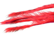 3 mm Rabbit Barred Zonkerstrip - Fl. Red