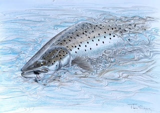 You added <b><u>Thomas Weiergang original A3 - Foam Beetle Seatrout A3</u></b> to basket.