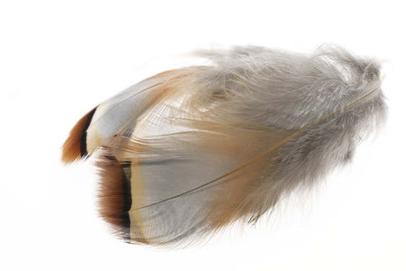 You added <b><u>French Partridge - Natural</u></b> to basket.