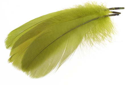 You added <b><u>Goose Shoulder Feathers - Olive</u></b> to basket.