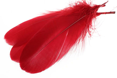 You added <b><u>Goose Shoulder Feathers - Red</u></b> to basket.