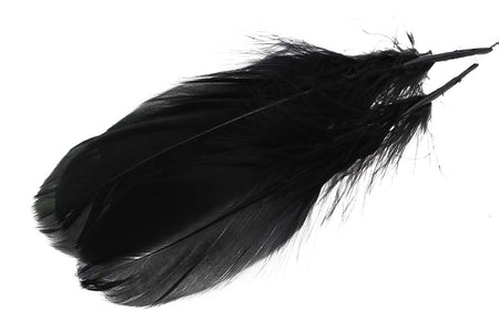 You added <b><u>Goose Shoulder Feathers - Black</u></b> to basket.