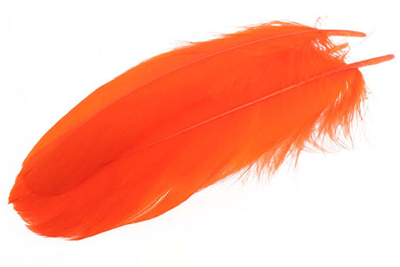 You added <b><u>Goose Shoulder Feathers - Orange</u></b> to basket.