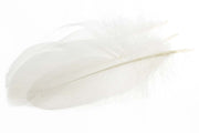 Gås Skulderfjer - White