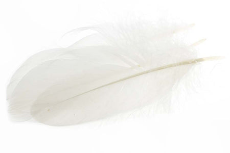 You added <b><u>Goose Shoulder Feathers - White</u></b> to basket.