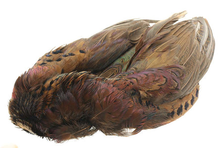 You added <b><u>Whole pheasant without head and tail - Nature</u></b> to basket.