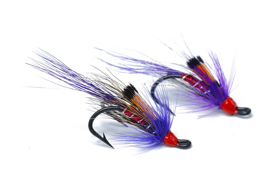 Allys shrimp - Purple