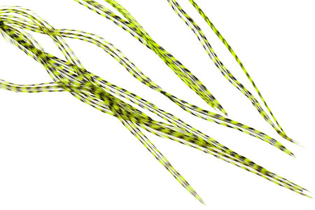 You added <b><u>10+ Selected Flatwing/dryfly Feather - Grizzly Flou Chartreuse</u></b> to basket.