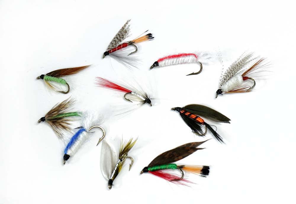 10 mixed wet flies
