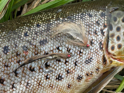 You added <b><u>The crooked goby</u></b> to basket.