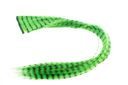 You added <b><u>Grizzly Hair - Lime Green</u></b> to basket.