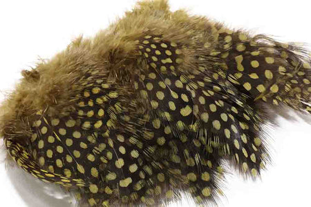 You added <b><u>Guinea Fowl - Olive</u></b> to basket.