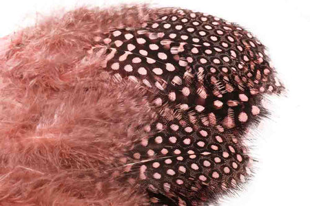 You added <b><u>Guinea Fowl - Light Pink</u></b> to basket.