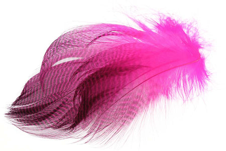 You added <b><u>Teal Flank Feathers - Fl. Pink</u></b> to basket.