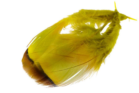 You added <b><u>French Partridge - Golden Olive</u></b> to basket.