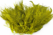 Fine Barred marabou - Oliven