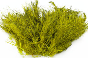 Fine Barred marabou - Olive