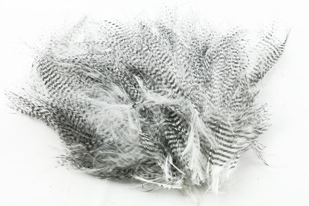 You added <b><u>Fine Barred Marabou - White</u></b> to basket.