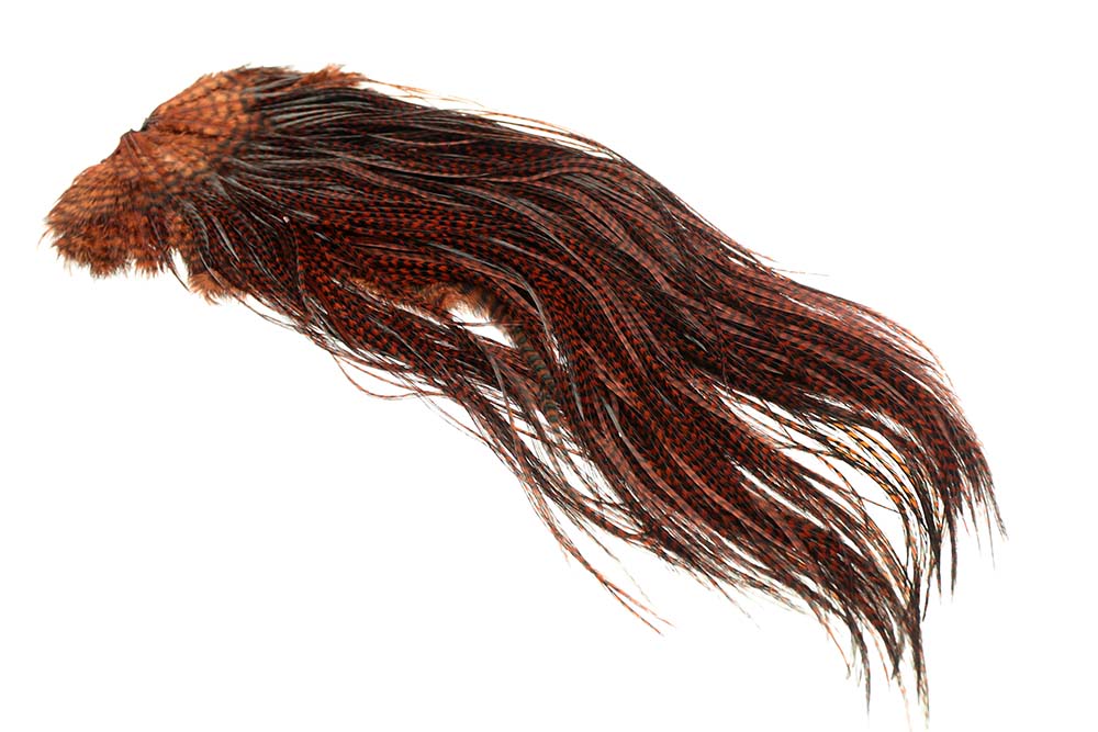 (Bronze Grade) Whiting Red Label Saddle - Grizzly Coachman Brown