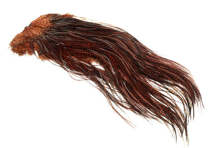 You added <b><u>(Bronze Grade) Whiting Red Label Saddle - Grizzly Coachman Brown</u></b> to basket.