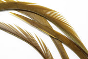 Goose Biots - Olive