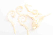 Spiked Rolla tails - White