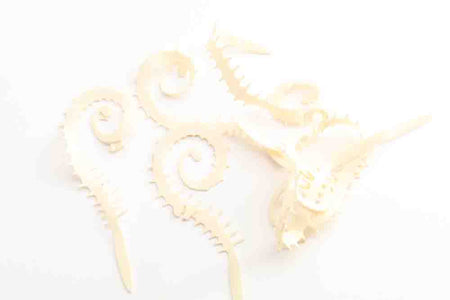 You added <b><u>Spiked Rolla tails - White</u></b> to basket.