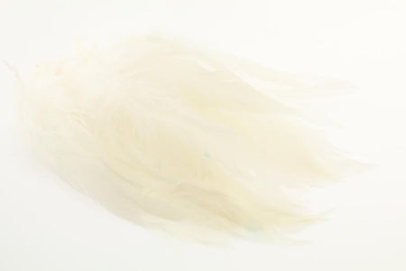 You added <b><u>Schlappen - White</u></b> to basket.