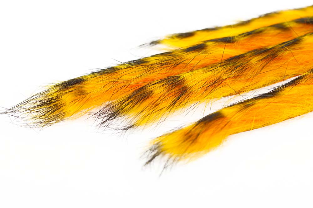 3 mm Rabbit Barred Zonkerstrip - Fl.Orange