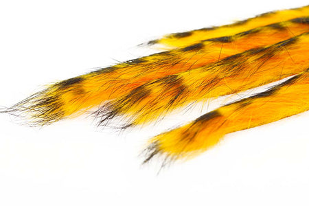 You added <b><u>3 mm Rabbit Barred zonkerstrip - Fl.Orange</u></b> to basket.