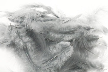 You added <b><u>Metz Soft hackles - Grey</u></b> to basket.