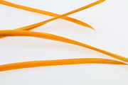 Goose Biots - Amber